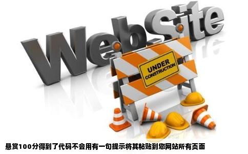 悬赏100分得到了代码不会用有一句提示将其粘贴到您网站所有页面