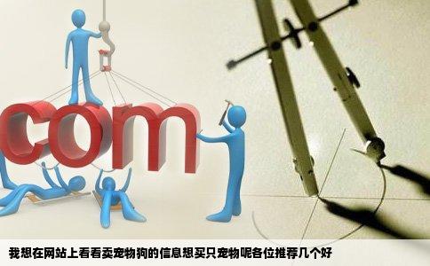 我想在网站上看看卖宠物狗的信息想买只宠物呢各位推荐几个好