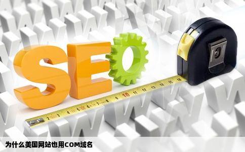 为什么美国网站也用COM域名