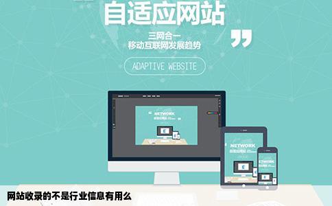 网站收录的不是行业信息有用么