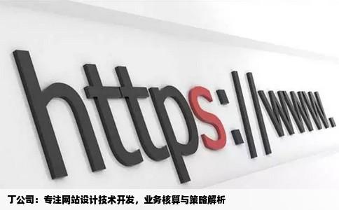 丁公司：专注网站设计技术开发，业务核算与策略解析