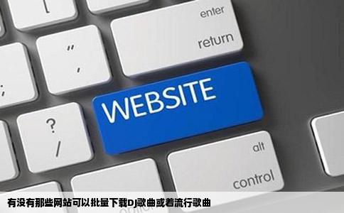 有没有那些网站可以批量下载DJ歌曲或着流行歌曲