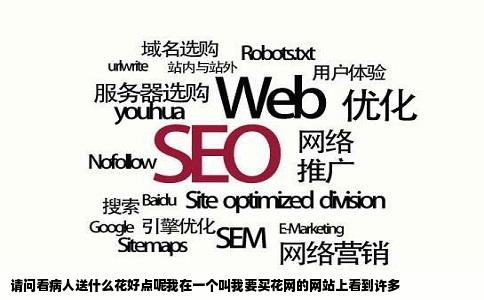 请问看病人送什么花好点呢我在一个叫我要买花网的网站上看到许多