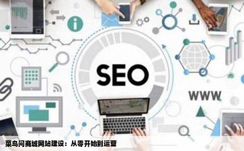 菜鸟问商城网站建设：从零开始到运营