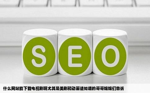 什么网站能下载电视剧啊尤其是美剧和动画请知道的哥哥姐姐们告诉