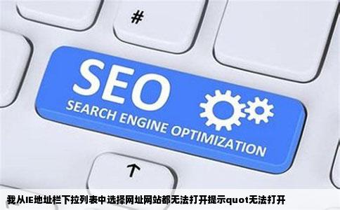 我从IE地址栏下拉列表中选择网址网站都无法打开提示quot无法打开