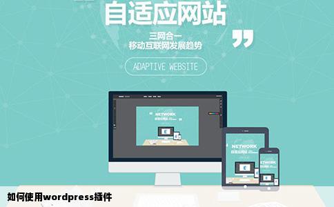 如何使用wordpress插件