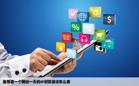 我想查一个网站一天的IP浏览量该怎么查