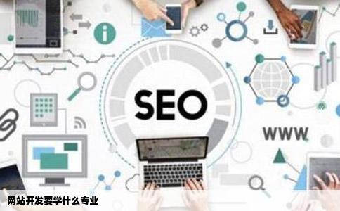 网站开发要学什么专业