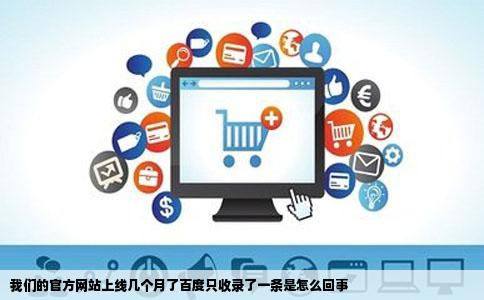 我们的官方网站上线几个月了百度只收录了一条是怎么回事