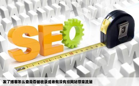 发了博客怎么查是否被收录或者有没有给网站带来流量