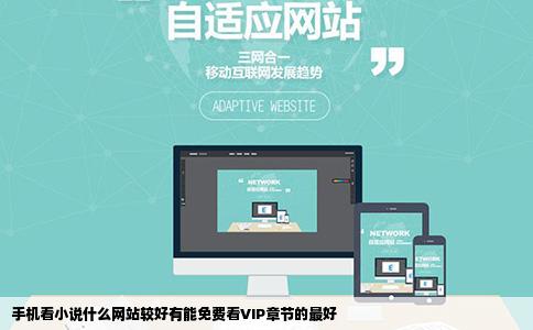 手机看小说什么网站较好有能免费看VIP章节的最好