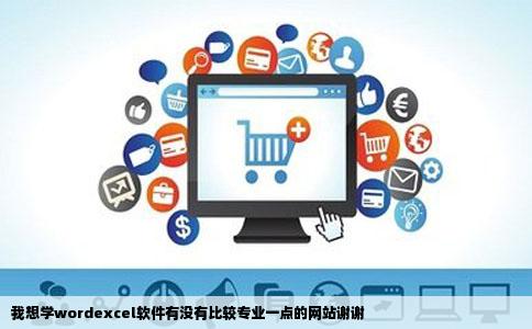 我想学wordexcel软件有没有比较专业一点的网站谢谢