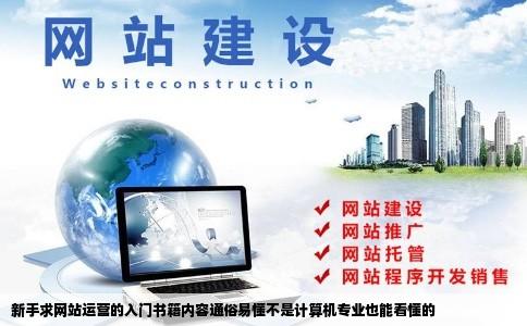 新手求网站运营的入门书籍内容通俗易懂不是计算机专业也能看懂的
