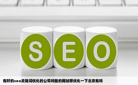 有好的seo关键词优化的公司吗我的网站想优化一下北京有吗