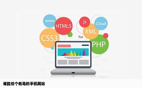 谁能给个有毒的手机网站