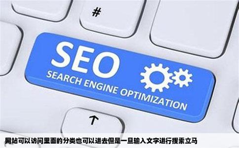 网站可以访问里面的分类也可以进去但是一旦输入文字进行搜索立马