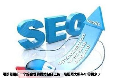 建设和维护一个综合性的网站包括上传一堆视频大概每年需要多少