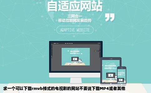 求一个可以下载rmvb格式的电视剧的网站不要说下载MP4或者其他
