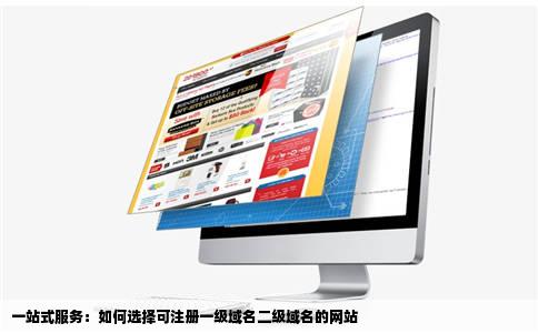 一站式服务:如何选择可注册一级域名二级域名的网站
