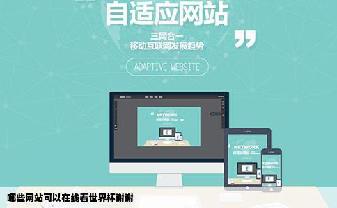 哪些网站可以在线看世界杯谢谢