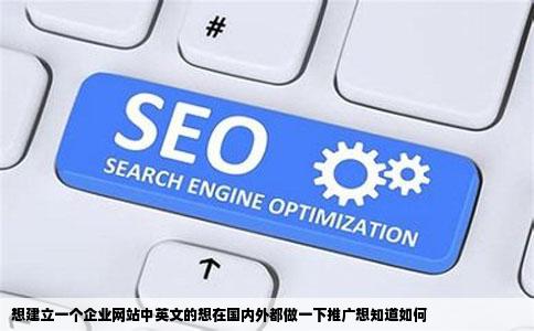 想建立一个企业网站中英文的想在国内外都做一下推广想知道如何