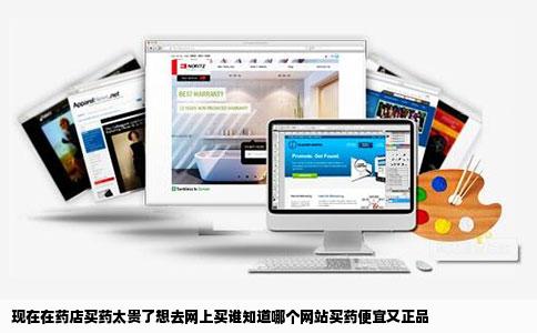 现在在药店买药太贵了想去网上买谁知道哪个网站买药便宜又正品