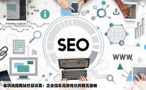 单项选择网站栏目设置：企业信息高效传达的网页策略