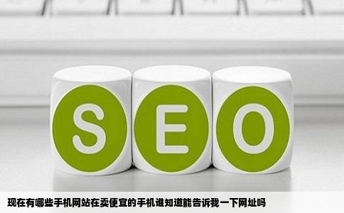 现在有哪些手机网站在卖便宜的手机谁知道能告诉我一下网址吗