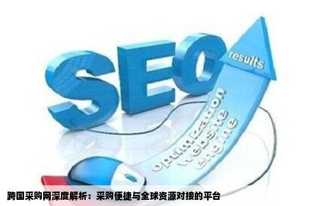 跨国采购网深度解析：采购便捷与全球资源对接的平台