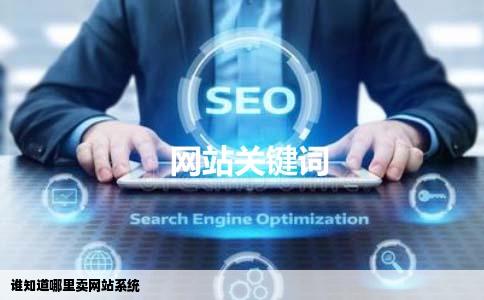 谁知道哪里卖网站系统