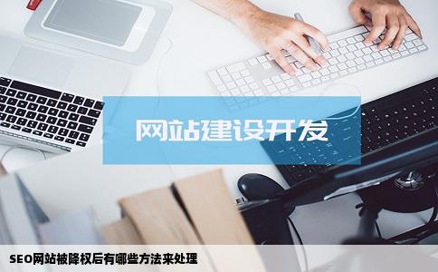 SEO网站被降权后有哪些方法来处理