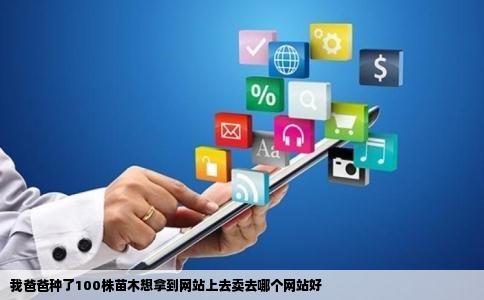 我爸爸种了100株苗木想拿到网站上去卖去哪个网站好