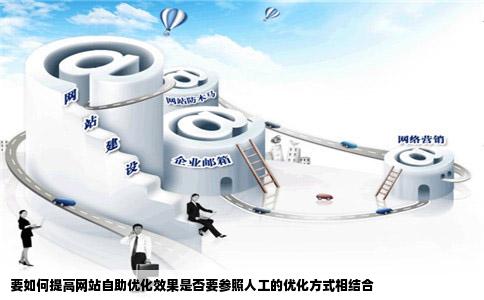 要如何提高网站自助优化效果是否要参照人工的优化方式相结合